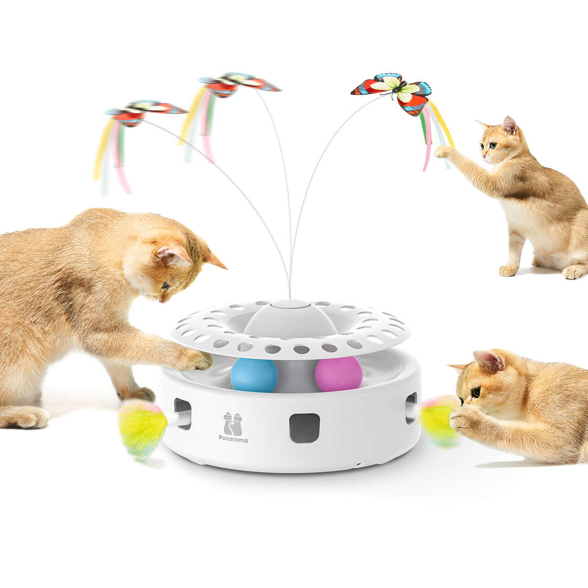 http://potaroma.com/cdn/shop/files/PotaromaCatToys3-in-1AutomaticInteractiveKittenToy-1_1200x1200.jpg?v=1683197363