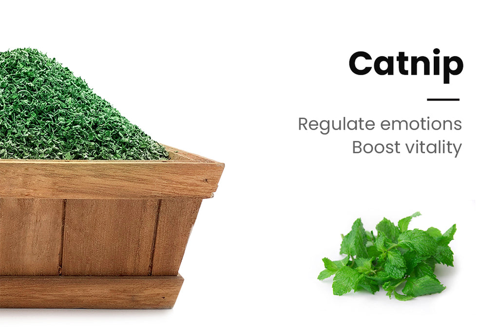 Is catnip beneficial for cats? It may not be suitable for all cats.