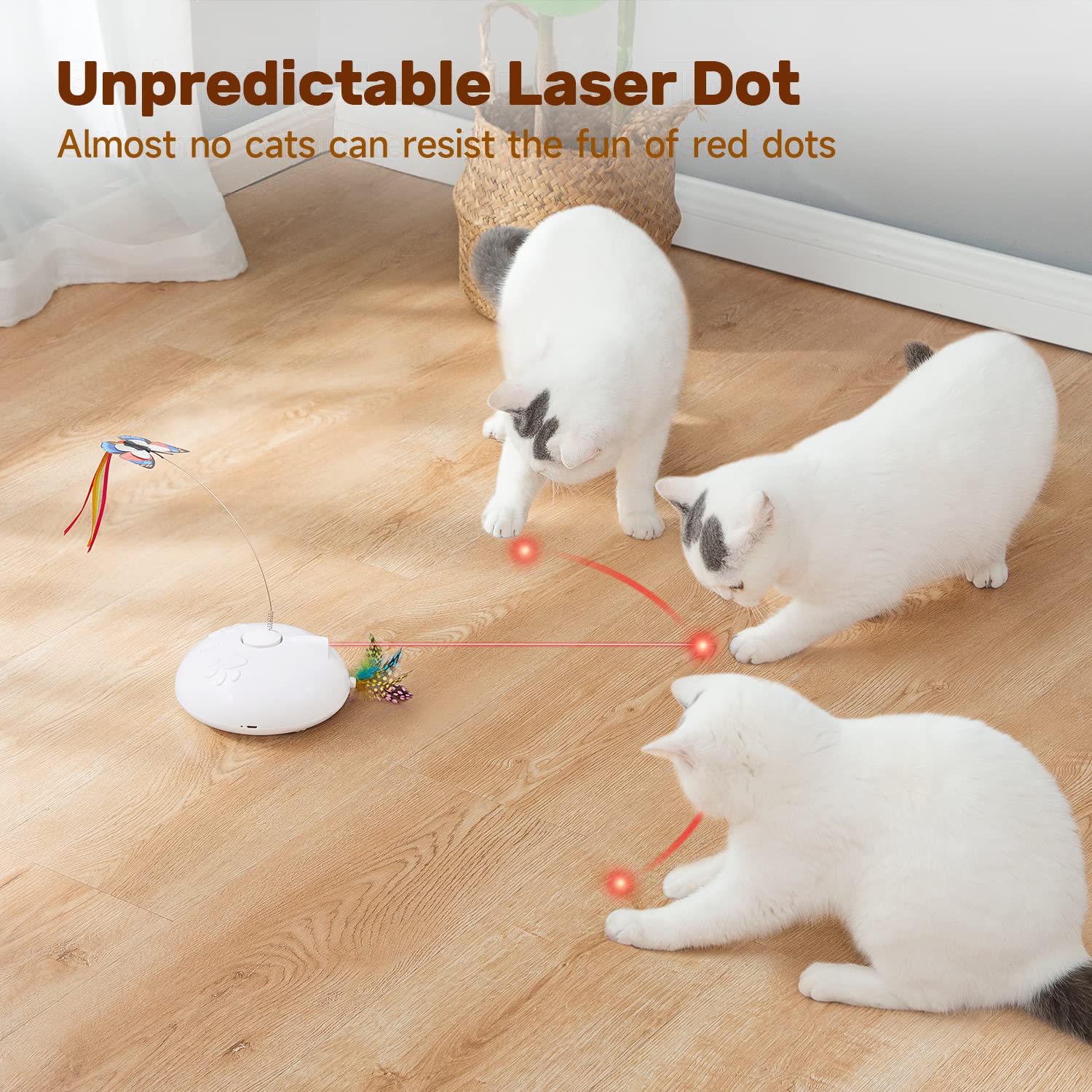 Robo-Cat Laser Toy - Super Kitty Cats