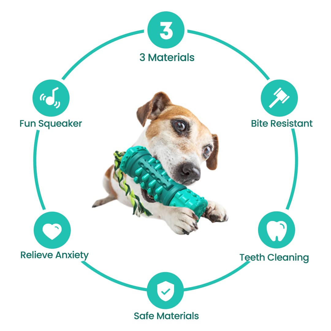 Indestructible Dog Chew Toy: Rubber Bone For Aggressive Chewers (Multiple Sizes)
