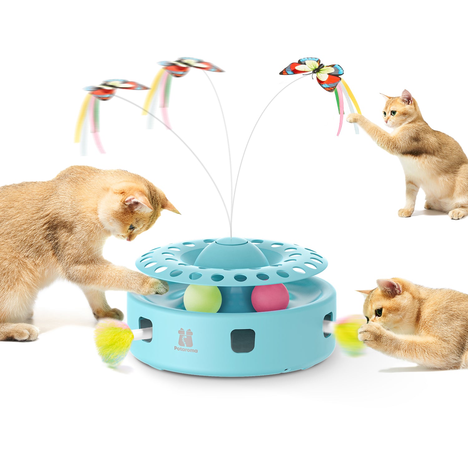 Potaroma 3-in-1 Hide-and-Seek Cat Toy